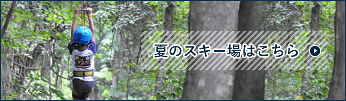 札幌ばんけいスキー場リフト12回券ペア