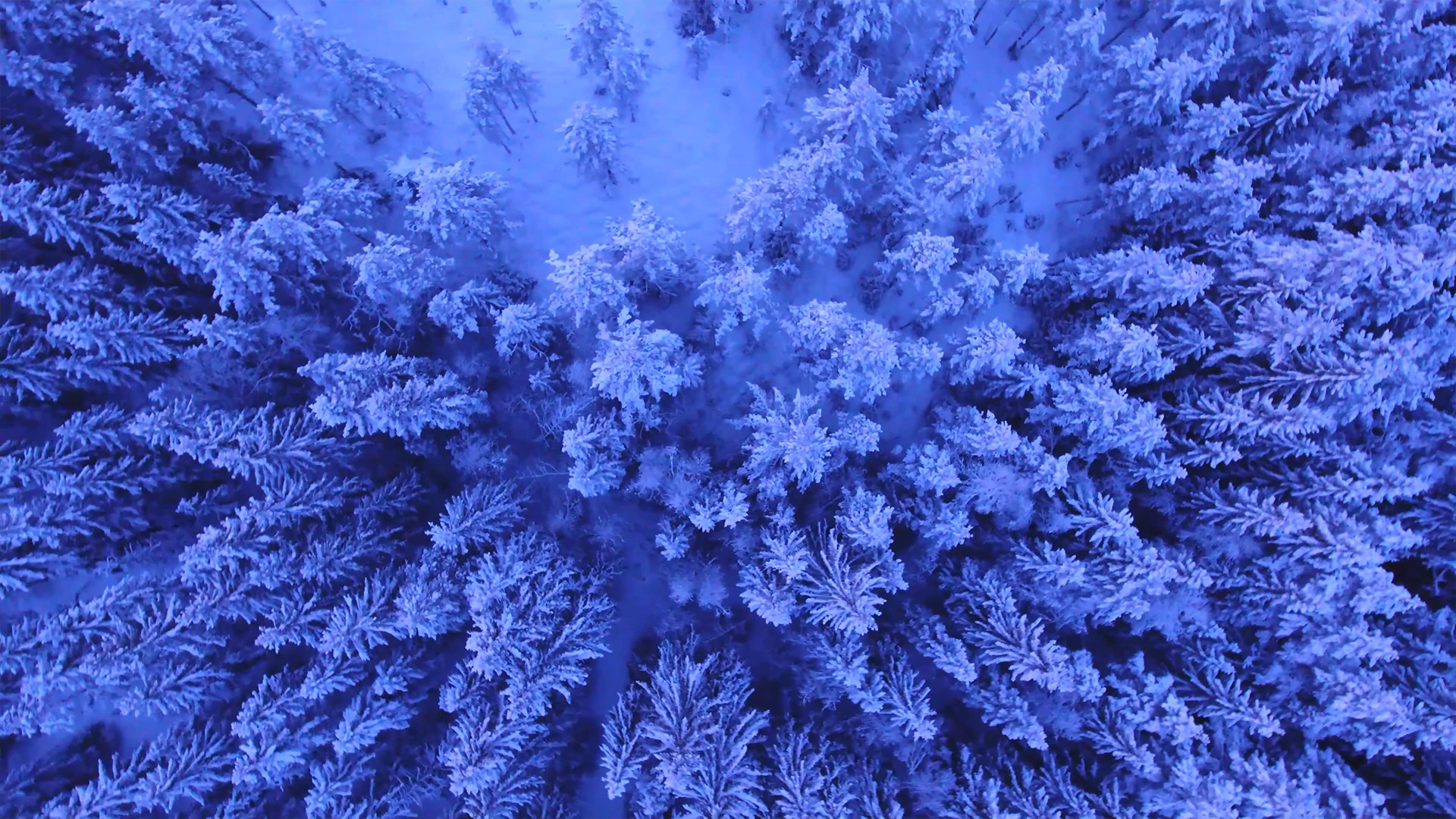 さっぽろばんけいスキー場