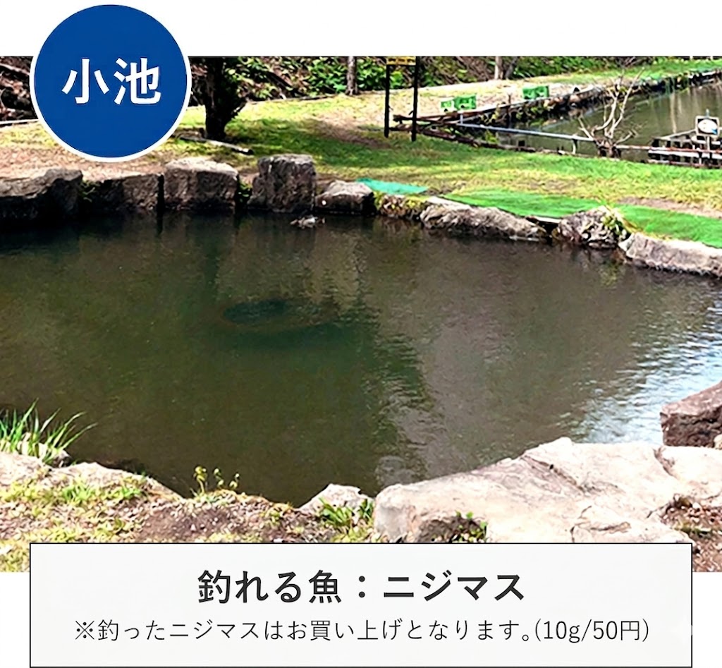 釣れる魚：ニジマス　※釣った魚はお買い上げとなります。（10g/50円）